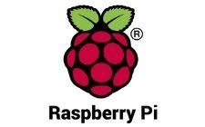 Raspberry